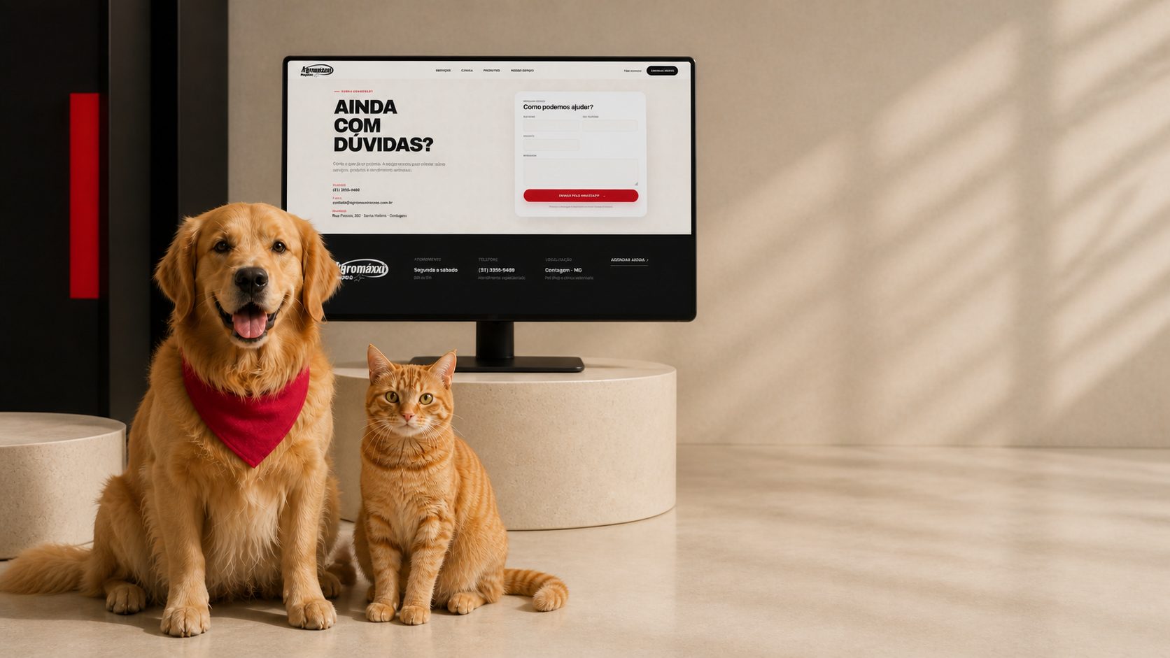 Cão e gato em ambiente de estúdio ao lado do site da Agromaxxi em um monitor