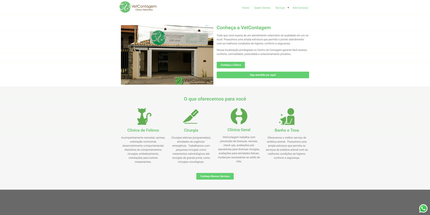 Site da VetContagem antes do redesign