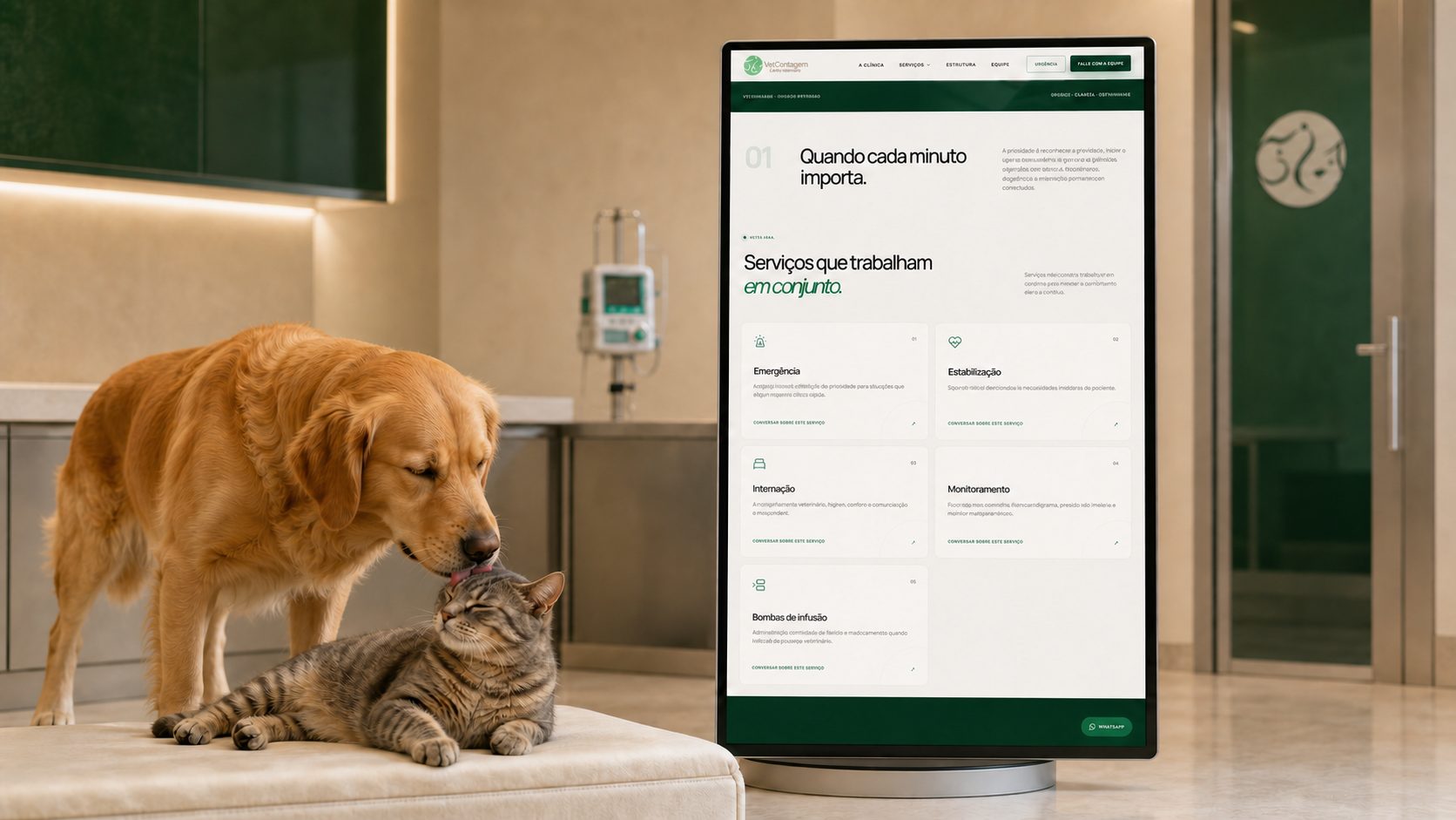 Golden retriever acolhe o gato ao lado de um monitor vertical com os serviços de urgência e estabilização